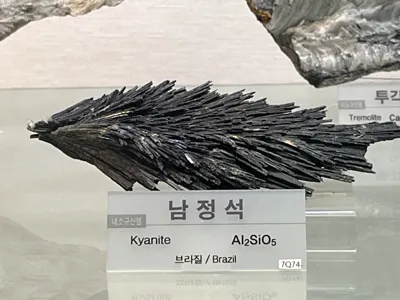 여행 사진