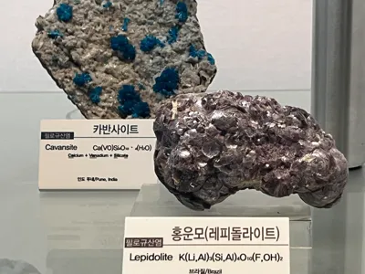 여행 사진