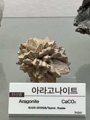 여행 사진