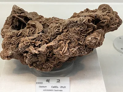 여행 사진